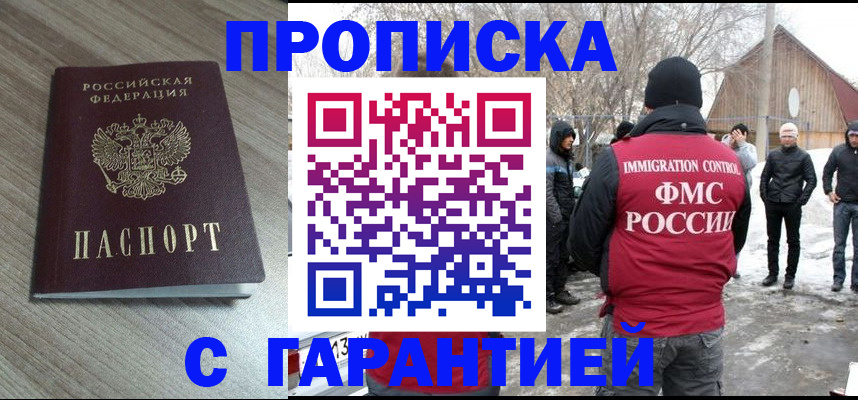 прописка 2025 в Купино