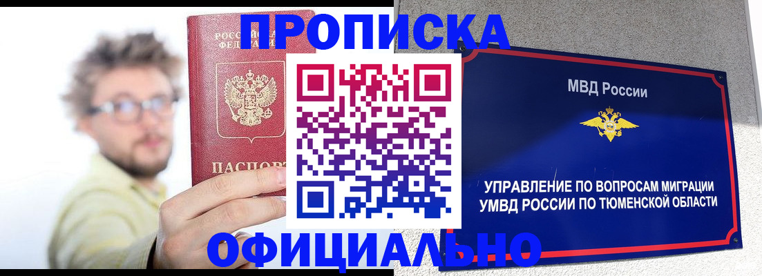 прописка поиск в Купино